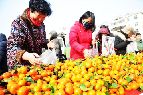 2019年脐橙价格走势行情预测