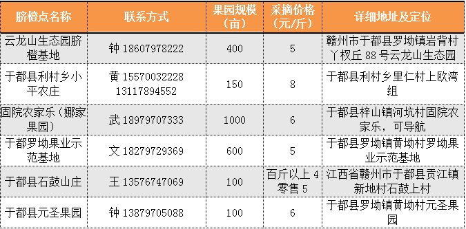  于都县脐橙采摘点