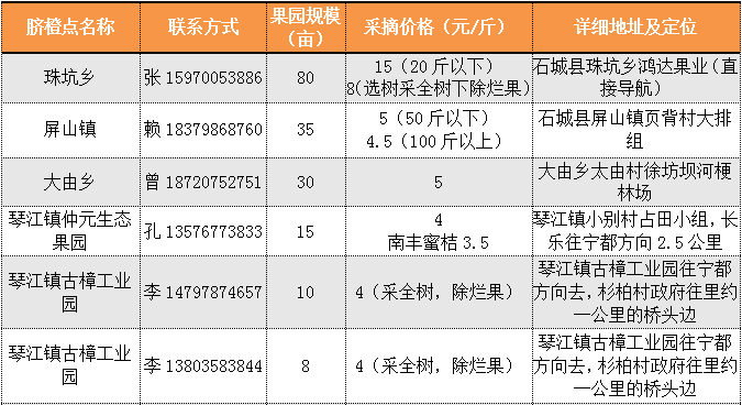 石城县脐橙采摘点