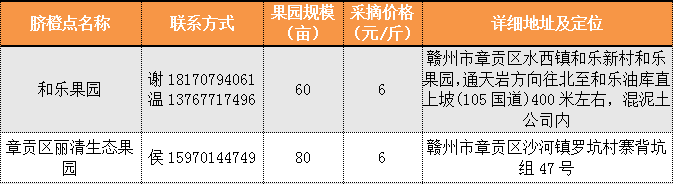 章贡区脐橙采摘点